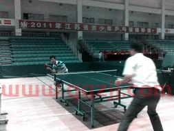 2011乒乓球赛程表（2011乒乓球全国锦标赛）