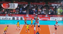 中国女排大胜美国丁霞扣球（中国女排大胜美国队）
