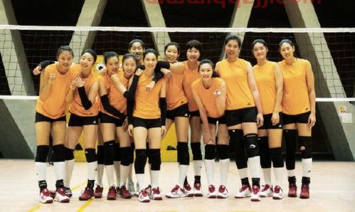 中国女排队员预告片（中国女排演员表）