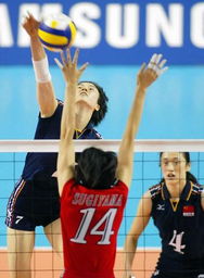 日本评中国女排战胜巴西（日本球迷评中国女排）