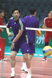 宁波中国女排队员（宁波中国女排队员有哪些）