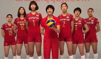 中国女排朱婷的工资是多少（中国女排朱婷的年收入）