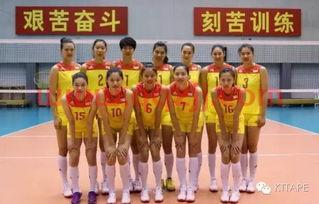 中国女排队员受接见（中国女排带队）