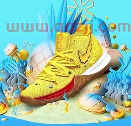 欧文球鞋中最好的一双（欧文球鞋中最好的一双是什么）