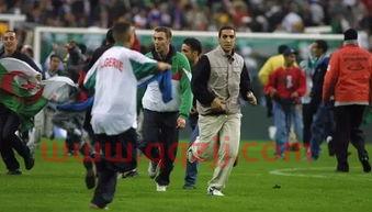 2021年欧洲杯的东道主（欧洲杯 东道主冠军）