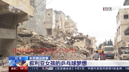 中国叙利亚