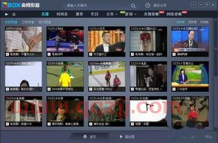 中央8台在线直播