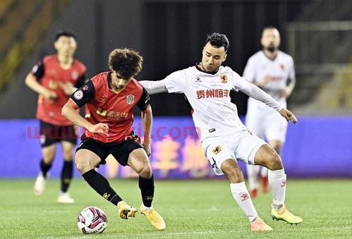 中甲联赛积分榜雪缘园