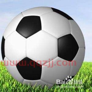 世界杯48支球队怎么分组