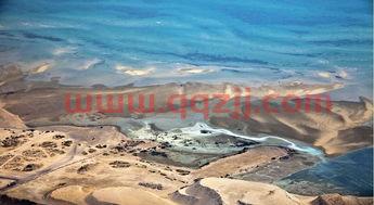 2022世界杯东道主几个国家