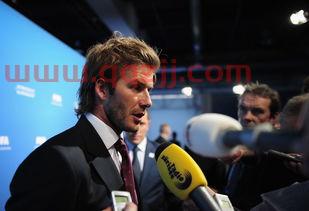 世界杯2022花主场