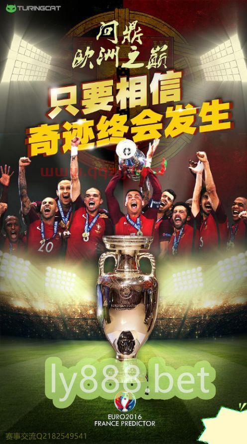 2021欧洲杯24支球队国旗