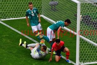 2021年世界杯4强