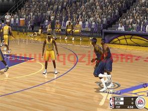 nba2003