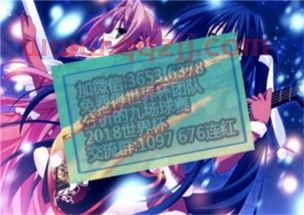 日韩世界杯十强赛分组