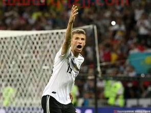 德国队本届世界杯分组