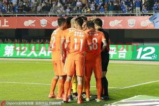 鲁能球员名单
