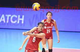 2019女排世界杯小组分组情况