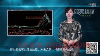 军情观察室播放时间