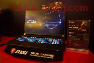 2019msi