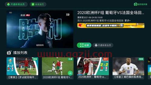 哪里可以看欧洲杯的直播时间回放（欧洲杯哪里可以看到直播） 第1张