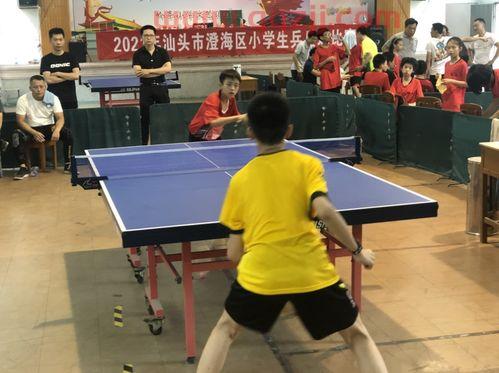 澄海区小学乒乓球赛赛程(汕头澄海区乒乓球训练基地) 澄海区小学乒乓球赛赛程(汕头澄海区乒乓球训练基地)