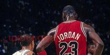 nba球星个子排名榜（nba所有球星身高）