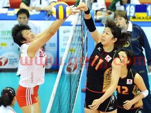 中国女排队员杨昊介绍资料（中国女排队员杨昊介绍资料视频）