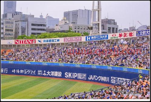 日本职棒季后赛规则介绍（日本职棒联赛）