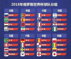 世界杯比赛的分组
