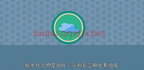 2021欧洲杯法国战绩