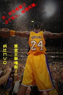 nba历届*
