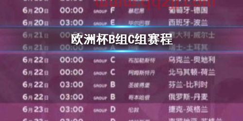 欧洲杯c组*积分榜