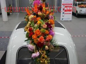 花样介绍欧洲杯最新赛程(2016年欧洲花艺杯花车解说)