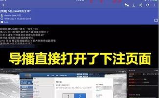 Msi直播平台