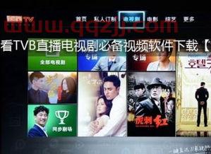tvb网络电视直播