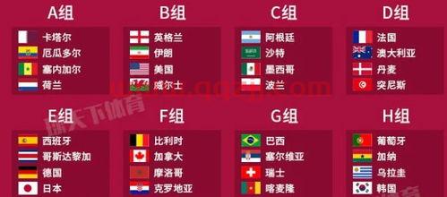 2022年卡塔尔世界杯中国队赛程