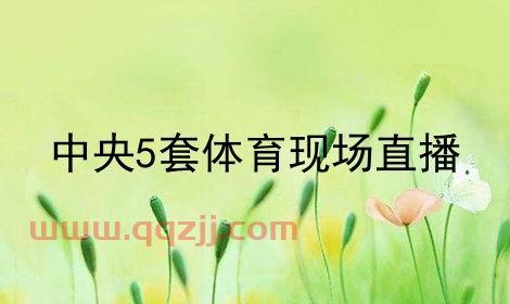 中央5套体育现场直播nba