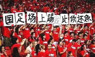 中国队进世界杯了吗