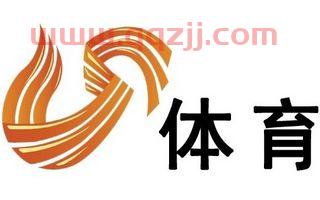 山东电视台体育频道在线直播