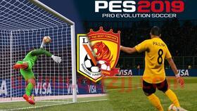 2022fifa世界杯