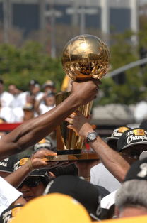 2009nba总*