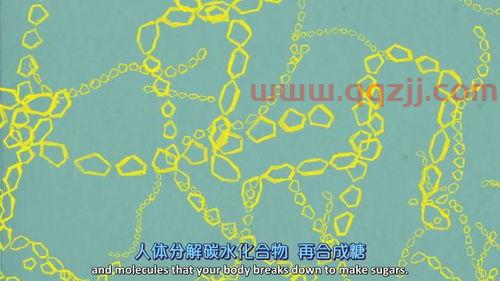 2021年欧洲杯战绩情况如何显示
