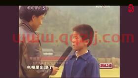 卡塔尔面积那么小怎么举办世界杯啊