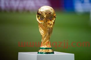 2022世界杯如果扩军