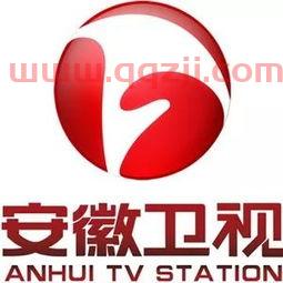 安徽卫视正在直播