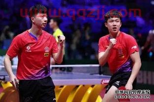 2019乒乓球瑞典公开赛