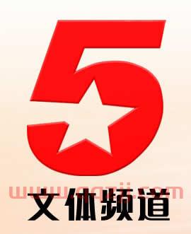 中央电视台五套五频道现场直播