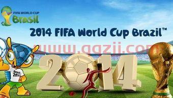 2014世界杯决赛比分