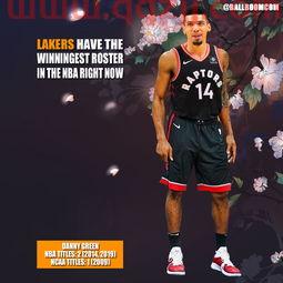 2019年nba总冠军